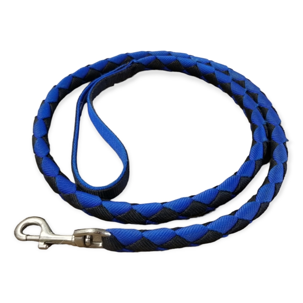 Braided Nylon Dog Leash, 60"